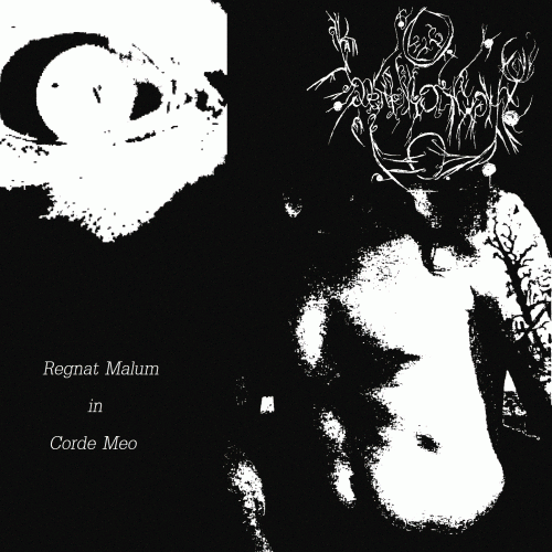 Demonic Night : Regnat Malum in Corde Meo